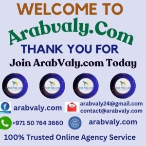 UAE Dubai Online Tourist Visa-Job & Business Visa Service.